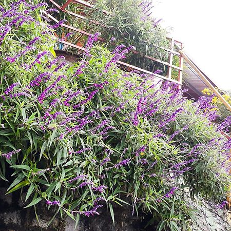 Sapa Tatu Homestay Ngoại thất bức ảnh