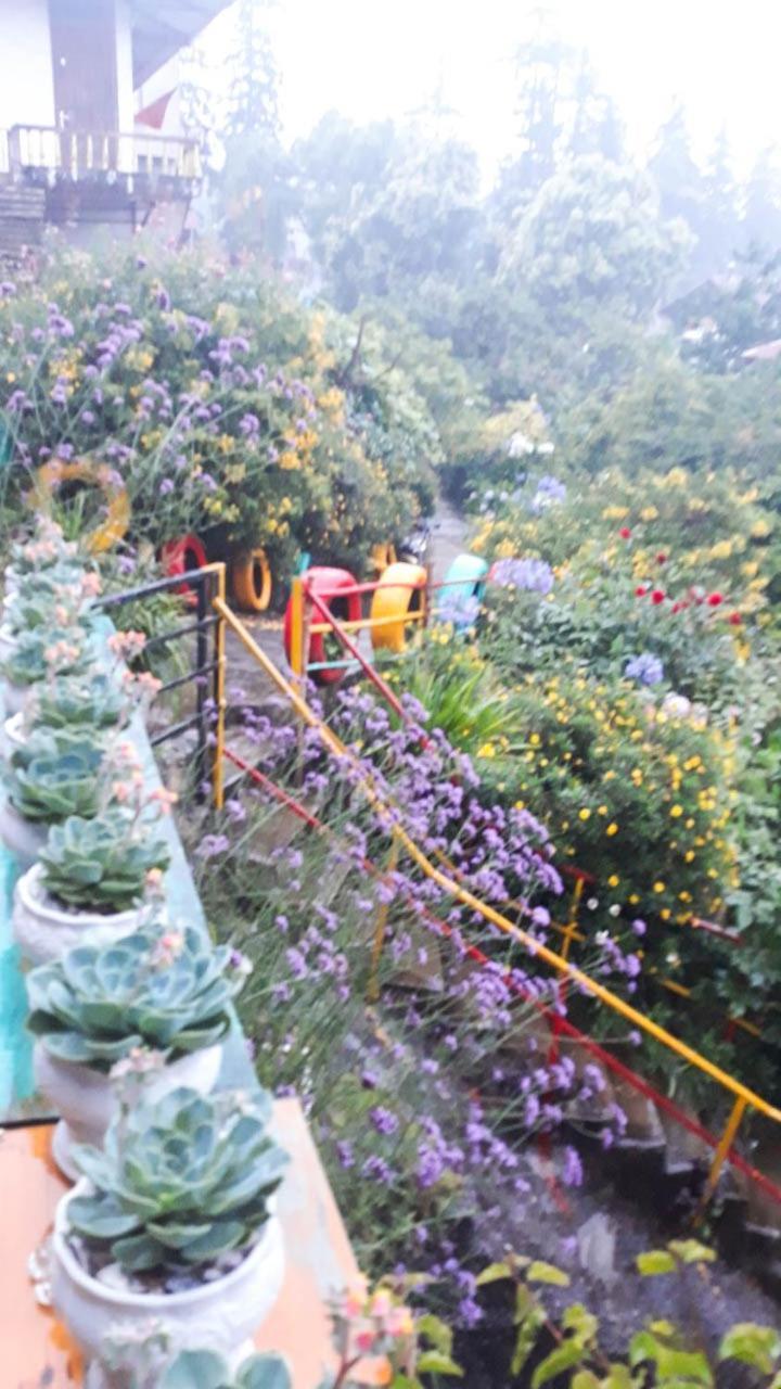 Sapa Tatu Homestay Ngoại thất bức ảnh